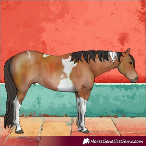Horse Color:Bay Tobiano 