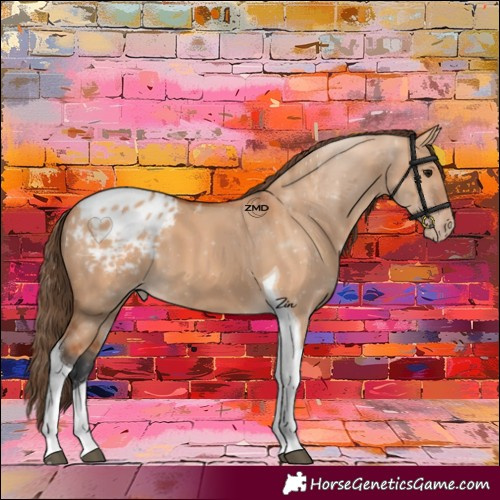 Horse Color:Bay Dun Tobiano Blanket 