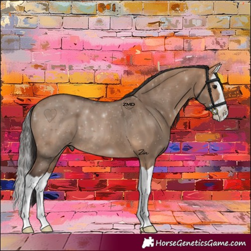 Horse Color:Bay Dun Splash 