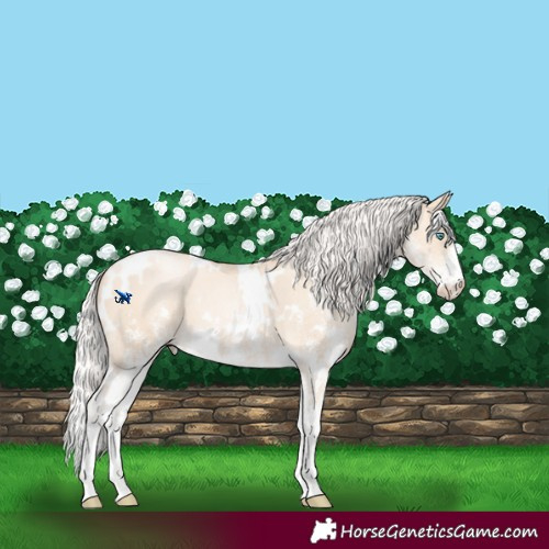 Horse Color:White Spotted Silver Classic Cream Champagne Pearl