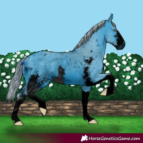 Horse Color:ERROR: UNKNOWN ANOMALY