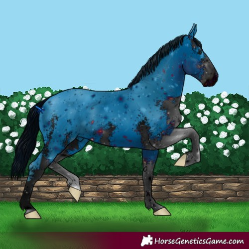 Horse Color:ERROR: UNKNOWN ANOMALY