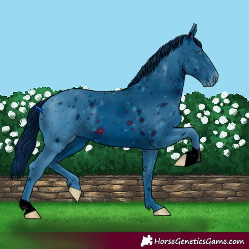 Horse Color:ERROR: UNKNOWN ANOMALY