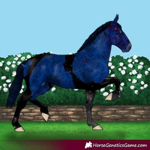 Horse Color:ERROR: UNKNOWN ANOMALY