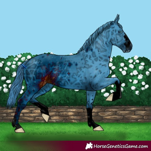 Horse Color:ERROR: UNKNOWN ANOMALY