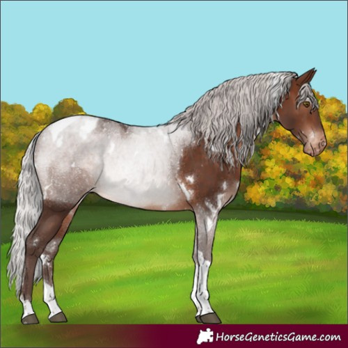 Horse Color:White Spotted Silver Brown Mushroom Tobiano Blanket