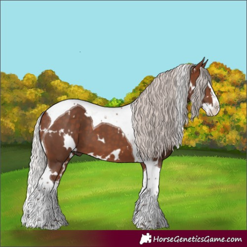 Horse Color:White Spotted Silver Bay Splash Tobiano 