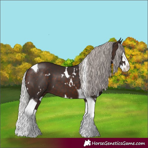 Horse Color:White Spotted Silver Brown Splash Tobiano