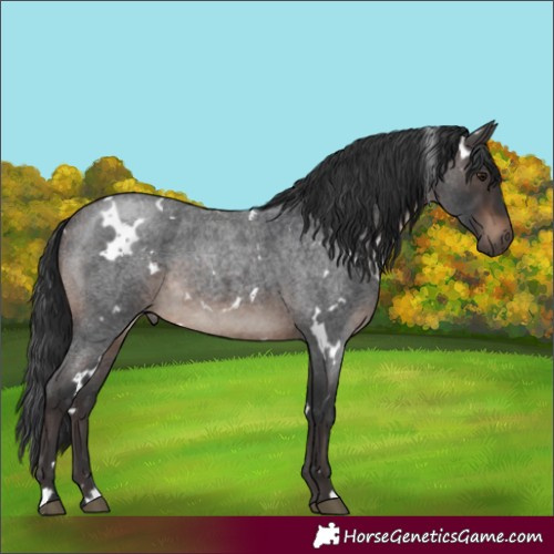 Horse Color:White Spotted Brown Roan Mushroom 