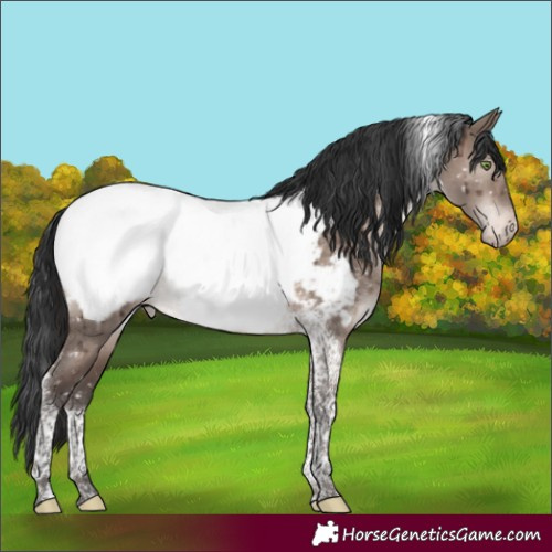 Horse Color:Brown Dun Mushroom Tobiano Near Fewspot Rabicano Brindle 