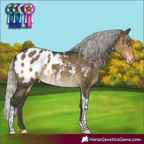 Horse Color:Silver Buckskin Dun Tobiano Blanket Rabicano 