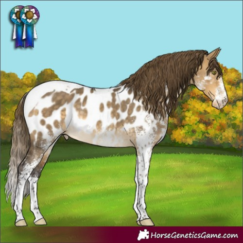 Horse Color:White Spotted Buckskin Dun Mushroom Tobiano Near Leopard Rabicano