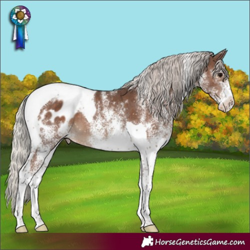Horse Color:White Spotted Silver Black Tobiano Blanket 