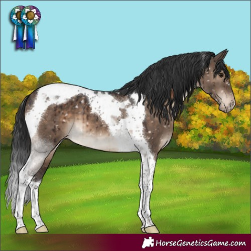 Horse Color:Brown Dun Tobiano Blanket Brindle 