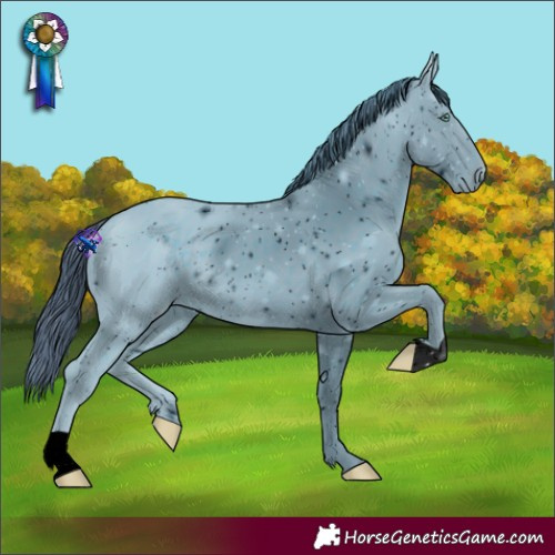 Horse Color:ERROR: UNKNOWN ANOMALY