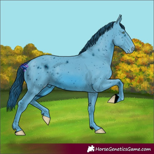 Horse Color:ERROR: UNKNOWN ANOMALY