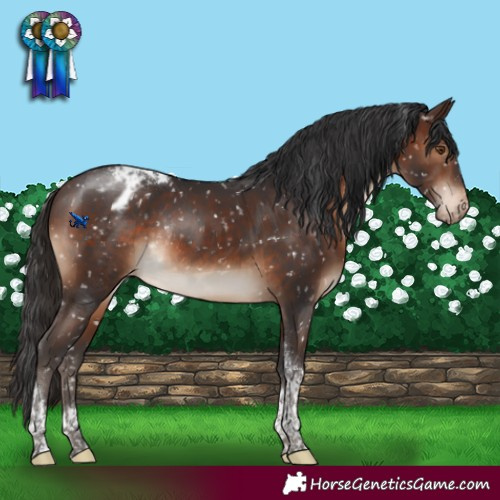 Horse Color:Brown Tobiano Snowflake Varnish Rabicano