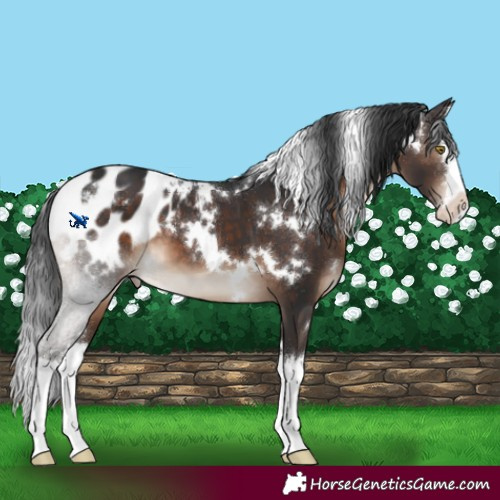 Horse Color:White Spotted Brown Splash Blanket 