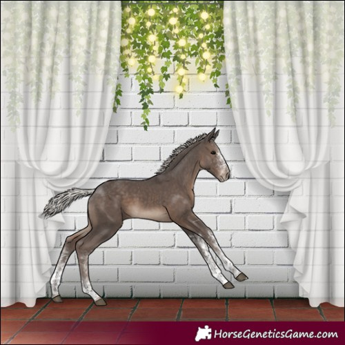 Horse Color:White Spotted Silver Black Tobiano Rabicano
