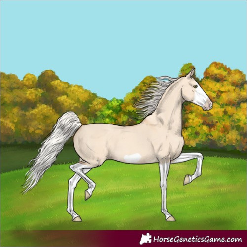 Horse Color:Silver Classic Champagne Dun Splash Frame 