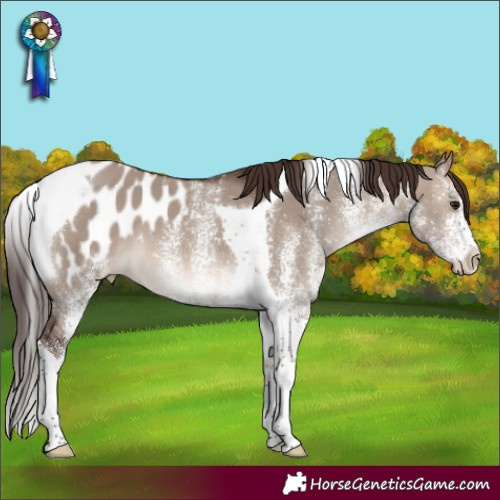 Horse Color:White Spotted Brown Dun Mushroom Tobiano Blanket 