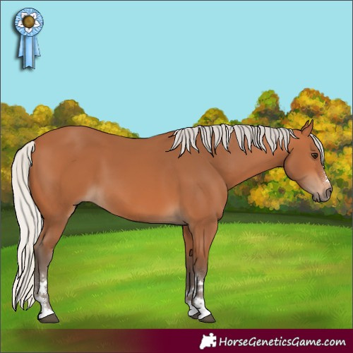 Horse Color:Silver Bay