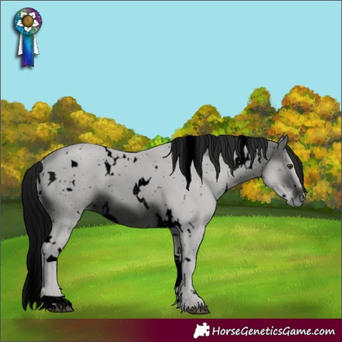Horse Color:ERROR: UNKNOWN ANOMALY
