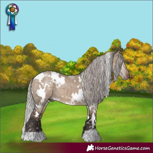 Horse Color:White Spotted Silver Brown Dun 