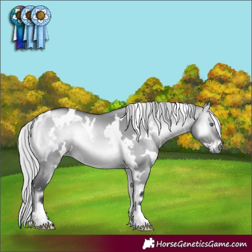Horse Color:White Spotted Silver Brown Chinchilla Onyx 