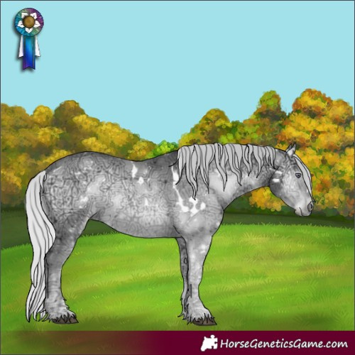 Horse Color:White Spotted Silver Brown Chinchilla Ice Onyx 