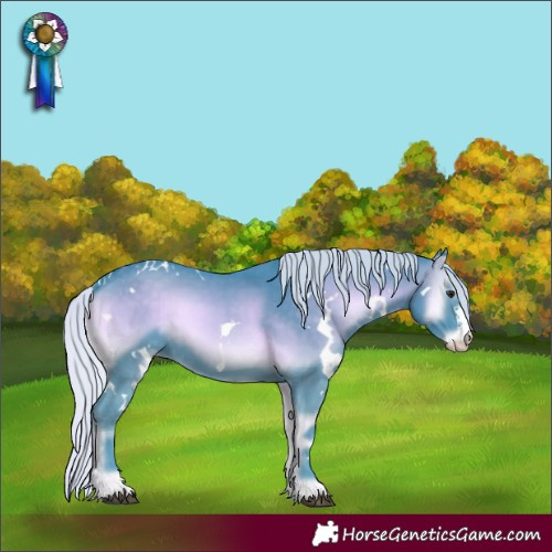 Horse Color:Watercolor White Spotted Silver Blue Onyx Chinchilla Sabino