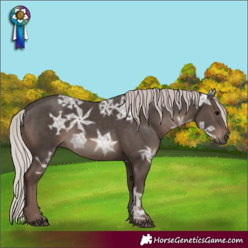 Horse Color:Silver Black Ice
