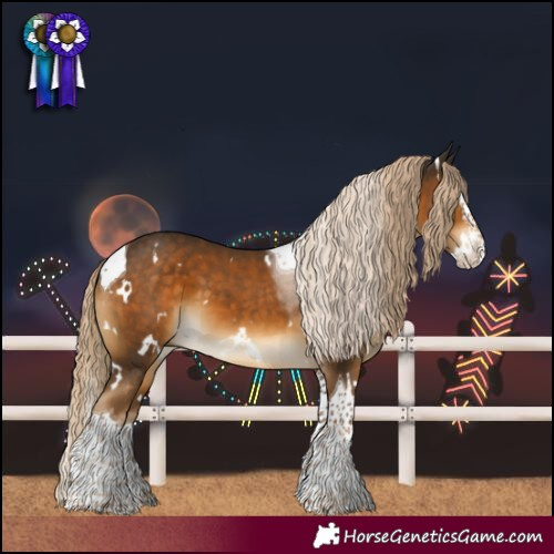 Horse Color:White Spotted Chocolate Palomino Splash Tobiano