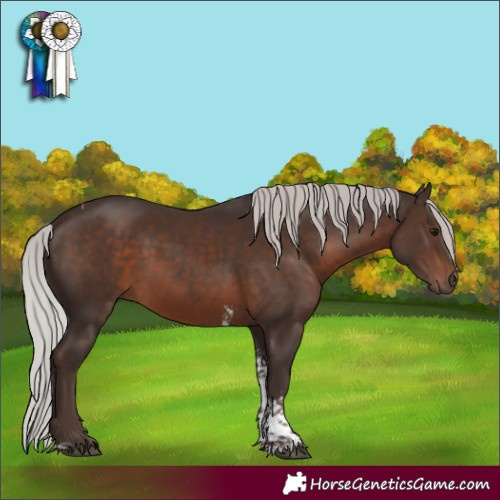 Horse Color:Silver Brown Sabino Tobiano
