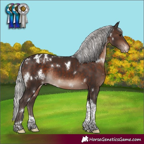 Horse Color:White Spotted Silver Brown Mushroom Tobiano Blanket Rabicano 