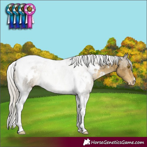Horse Color:White Spotted Silver Buckskin Dun Tobiano Blanket Rabicano 