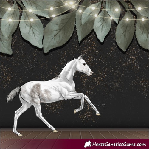 Horse Color:White Spotted Silver Black Tobiano Rabicano