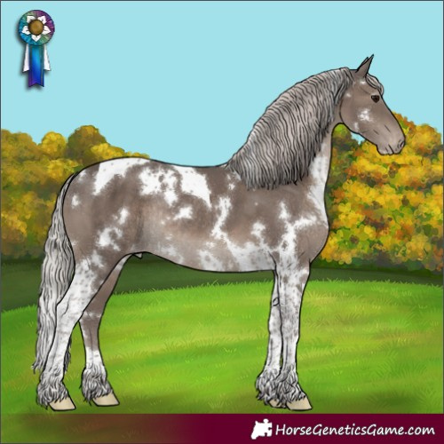 Horse Color:White Spotted Silver Black Tobiano Varnish Rabicano