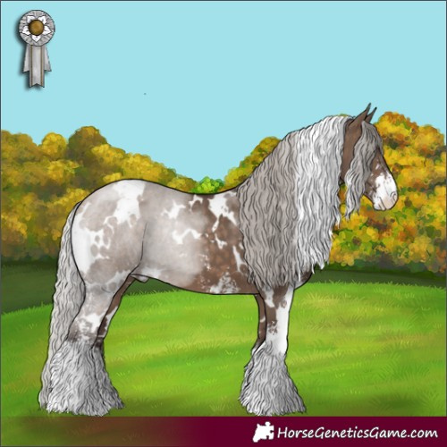 Horse Color:White Spotted Silver Brown Dun Sabino 