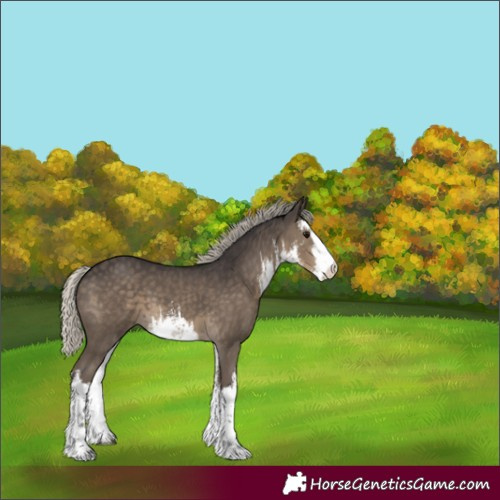 Horse Color:White Spotted Silver Smoky Black 