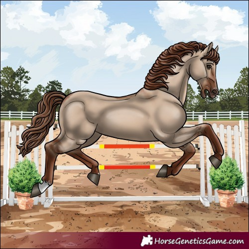 Horse Color:Red Dun 