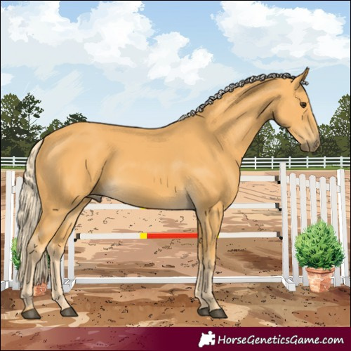 Horse Color:Palomino 