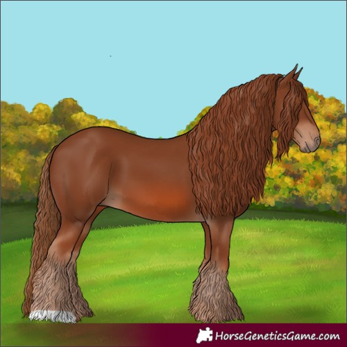 Horse Color:Chestnut 