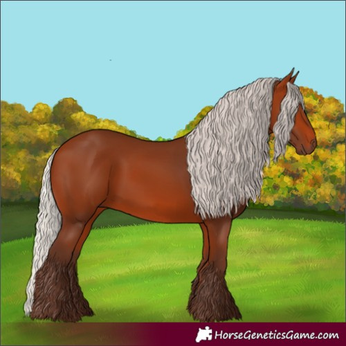 Horse Color:Silver Bay
