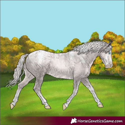 Horse Color:Powder White Platinum Chocolate Palomino Pearl 