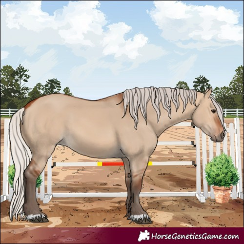 Horse Color:Silver Bay Dun 