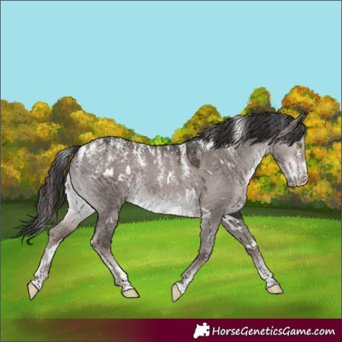 Horse Color:Powder White Platinum White Spotted Liver Red Dun 