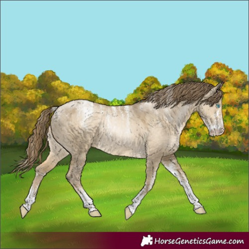 Horse Color:Powder White Smoky Grullo Pearl 