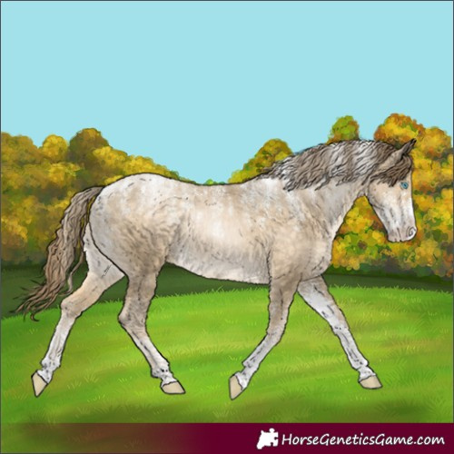 Horse Color:Powder White Buckskin Pearl 