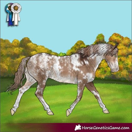 Horse Color:Powder White White Spotted Liver Red Dun 
